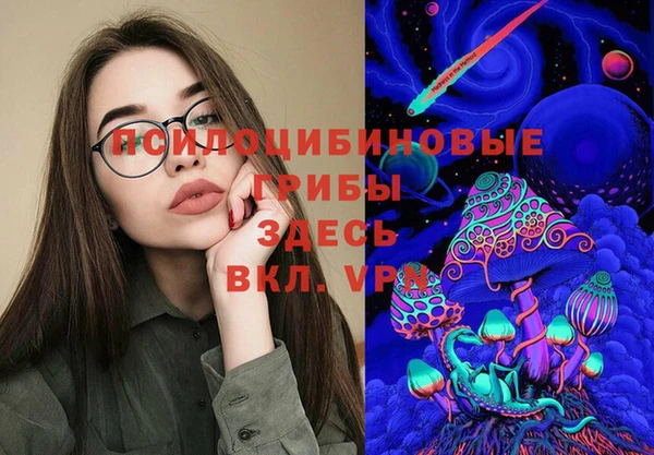 молекула духа Алексеевка