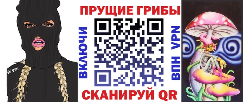 Псилоцибиновые грибы Psilocybe площадка как зайти Бологое
